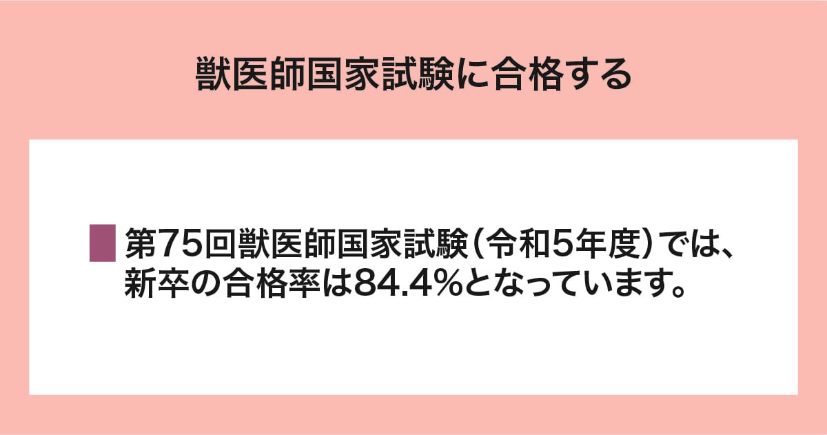 獣医師国家試験