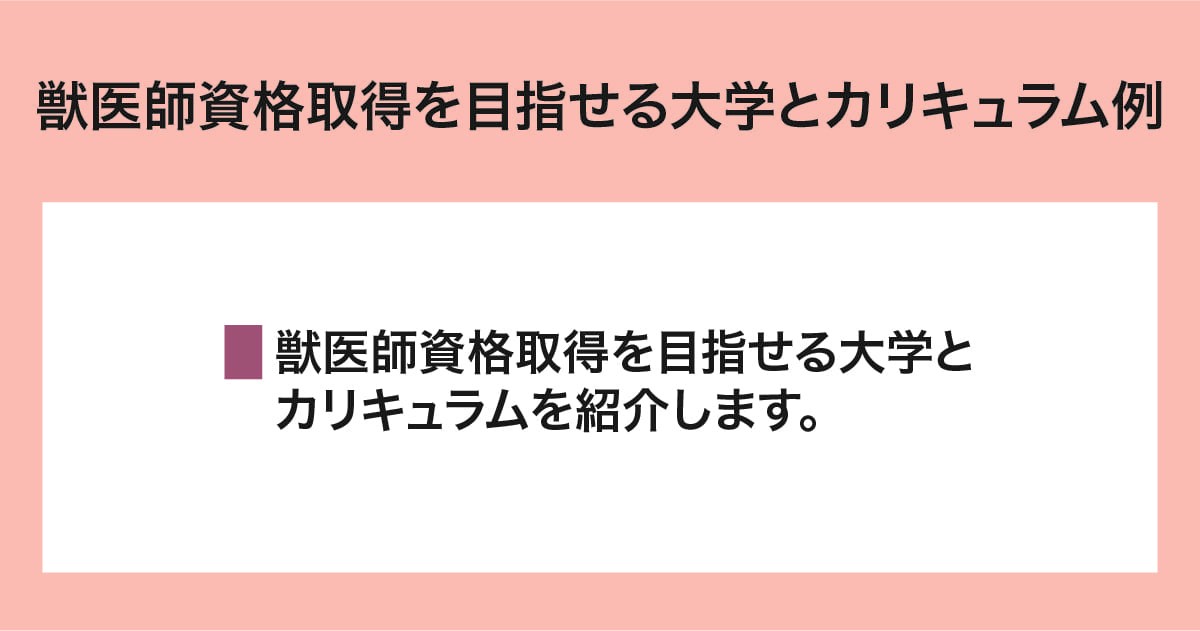 大学とカリキュラム例