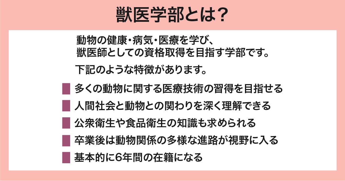 獣医学部とは