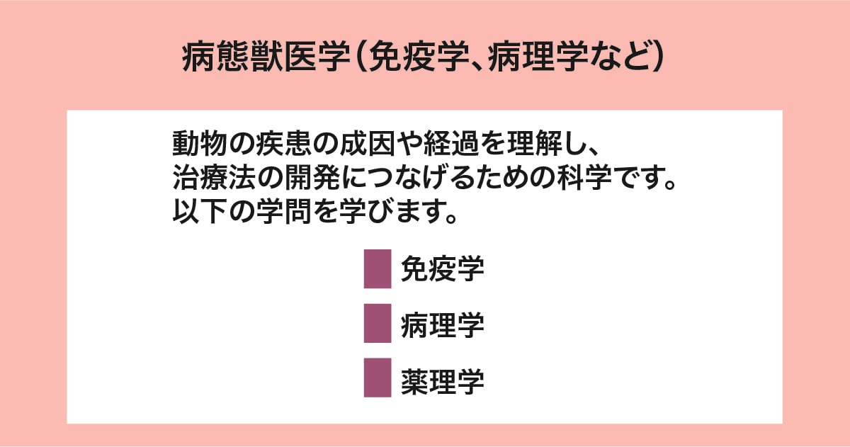 獣医参考書 生化 病理 感染症 解剖 薬理 獣医参考書 生化 病理 感染症 解剖 薬理 (麻布大学|病理学研究室)