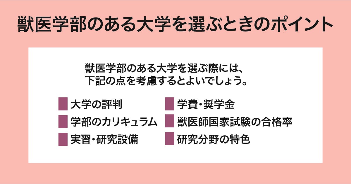 大学選びのポイント