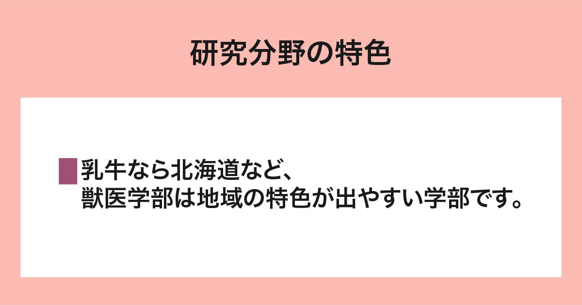 研究分野の特色