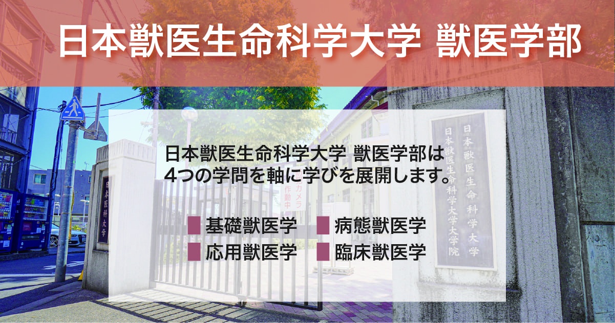 日本獣医生命科学大学 獣医学部