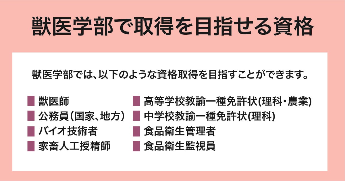取得を目指せる資格