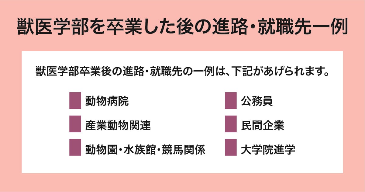 進路・就職先一例