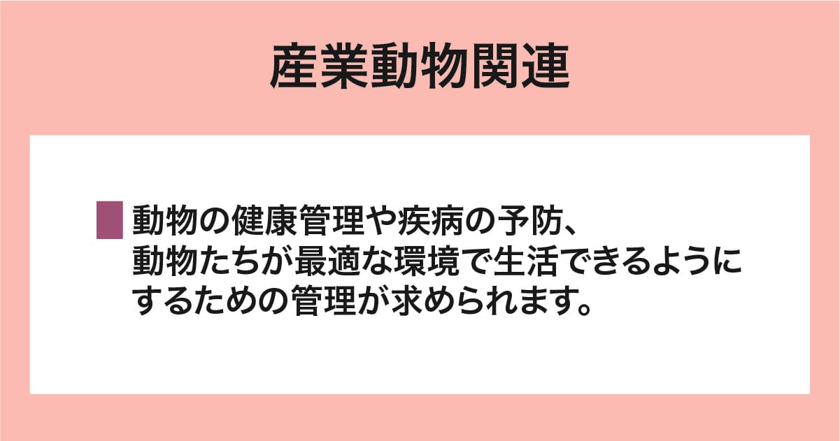 産業動物関連