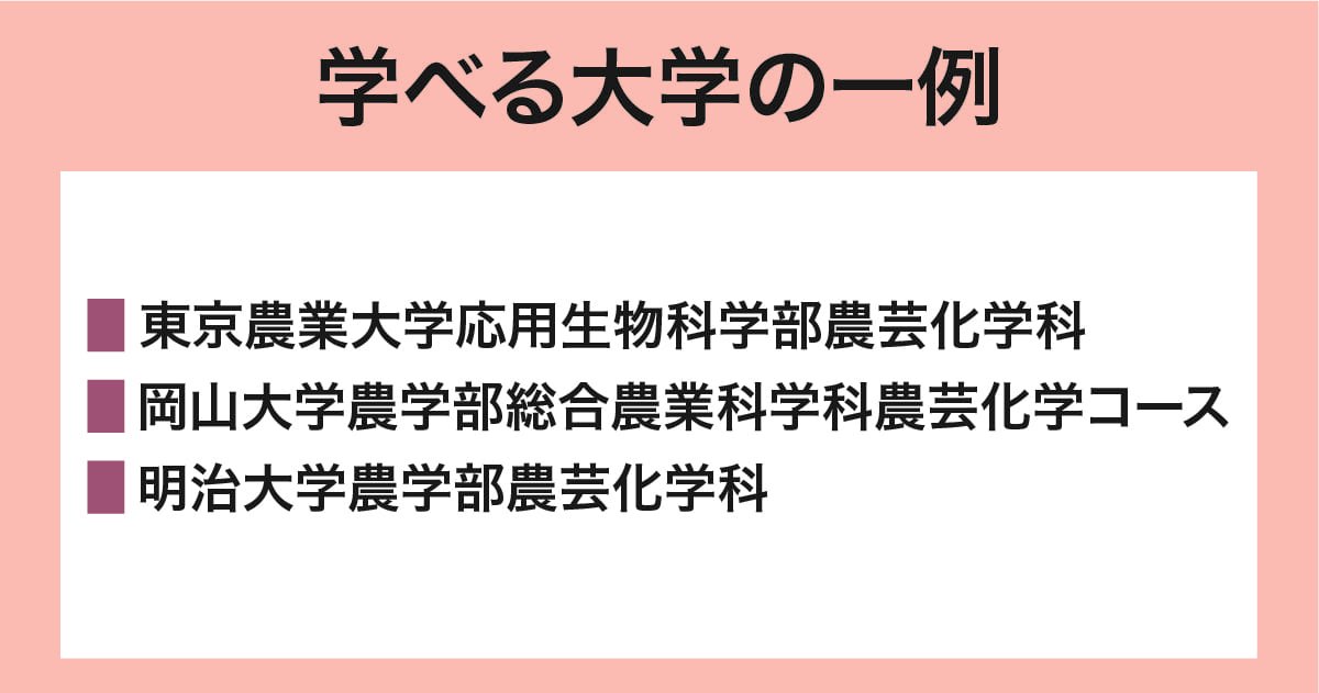 学べる大学の一例