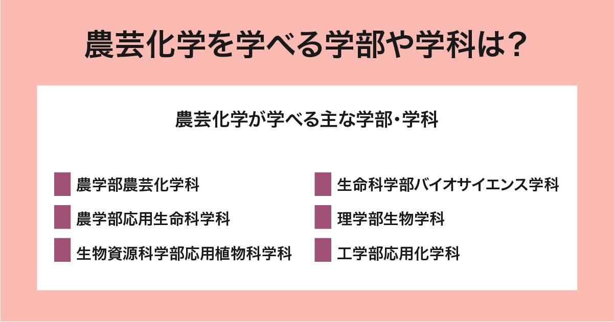 農芸化学が学べる学部・学科