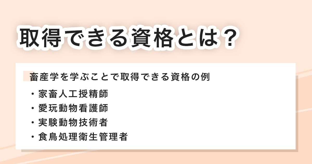 取得できる資格とは