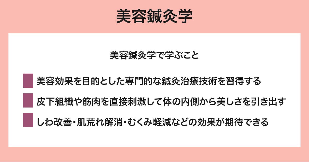美容鍼灸学