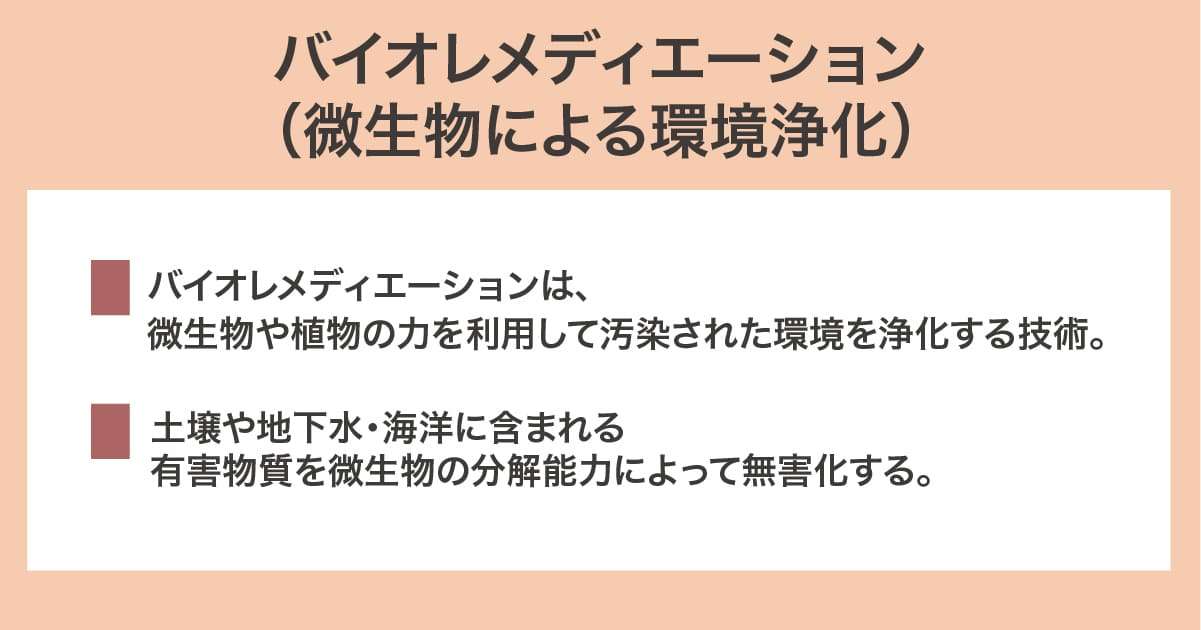 バイオレメディエーション