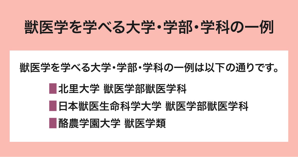 大学・学部・学科