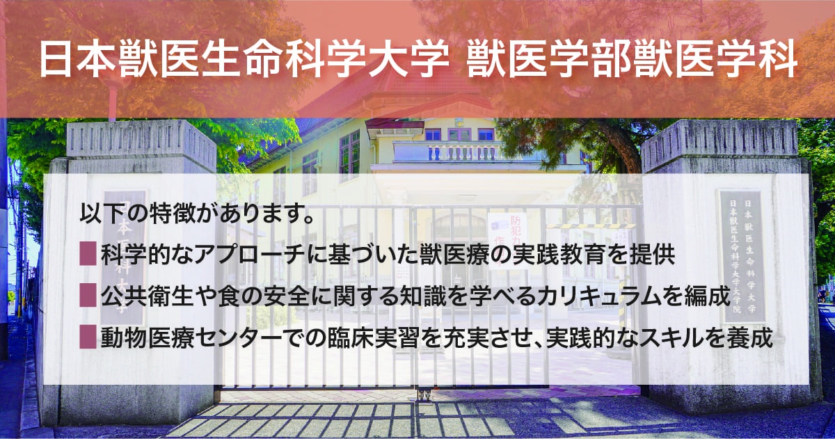 日本獣医生命科学大学 獣医学部獣医学科