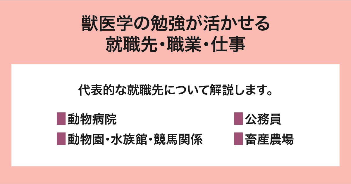 就職先・職業・仕事