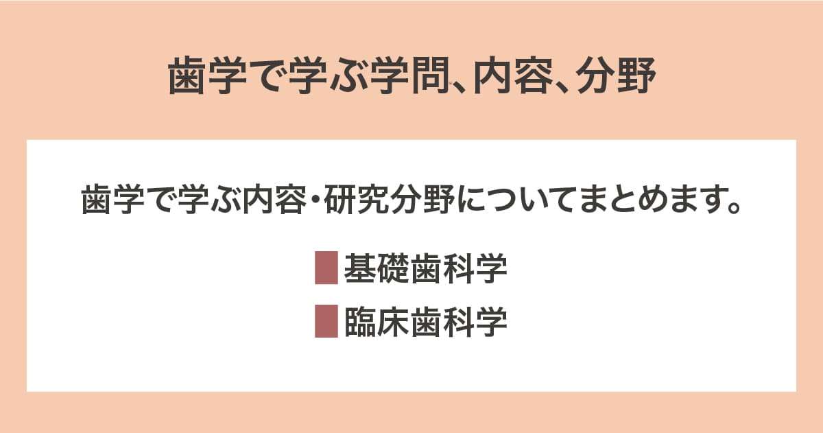 学問、内容、分野