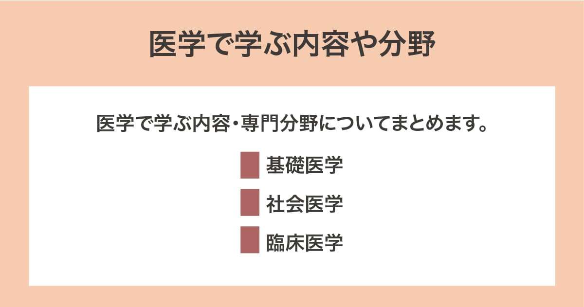 内容や分野