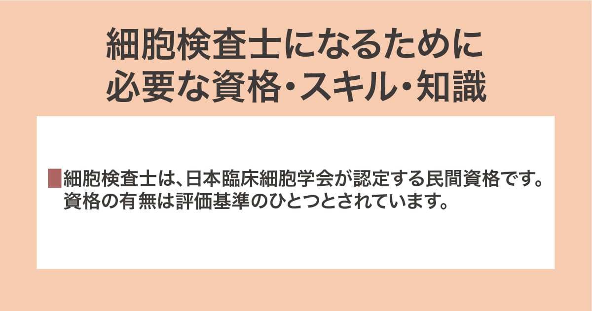資格・スキル・知識