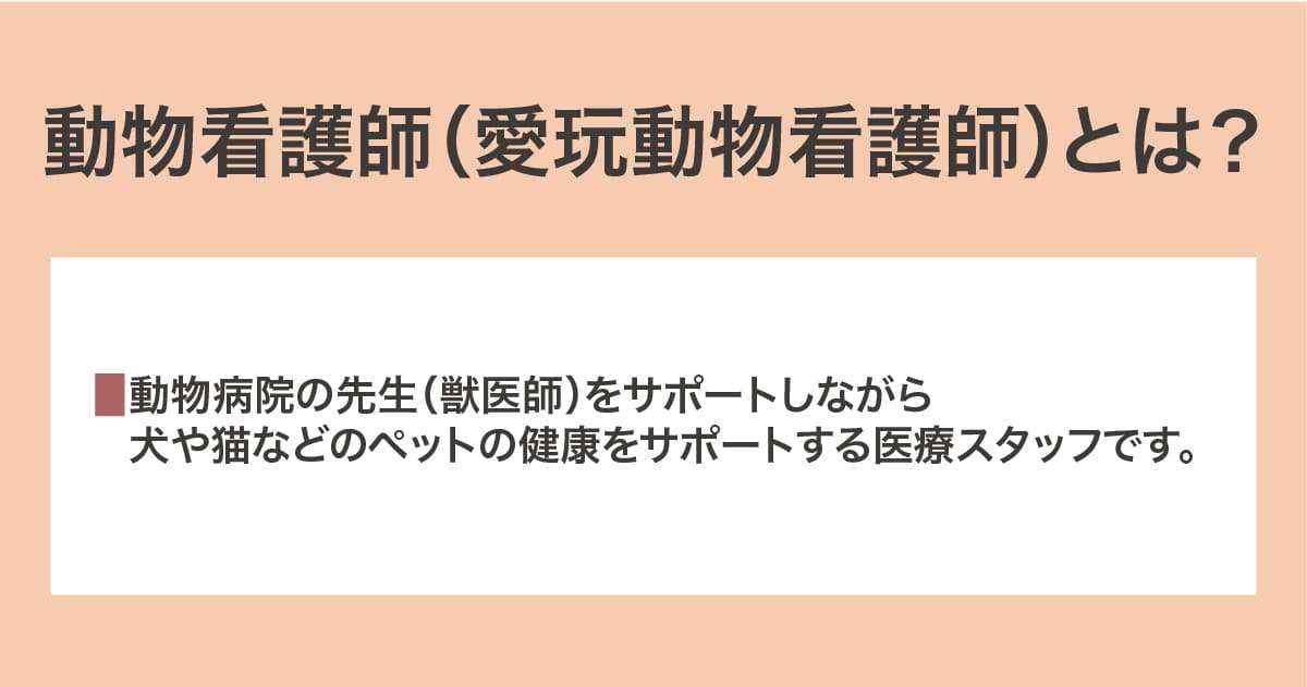 動物看護師（愛玩動物看護師）