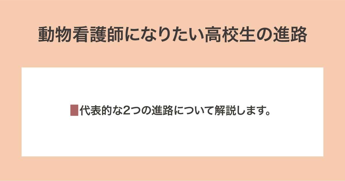 高校生の進路