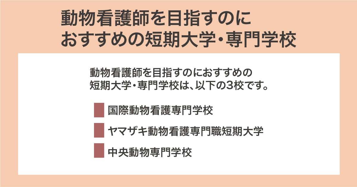 おすすめの短期大学・専門学校