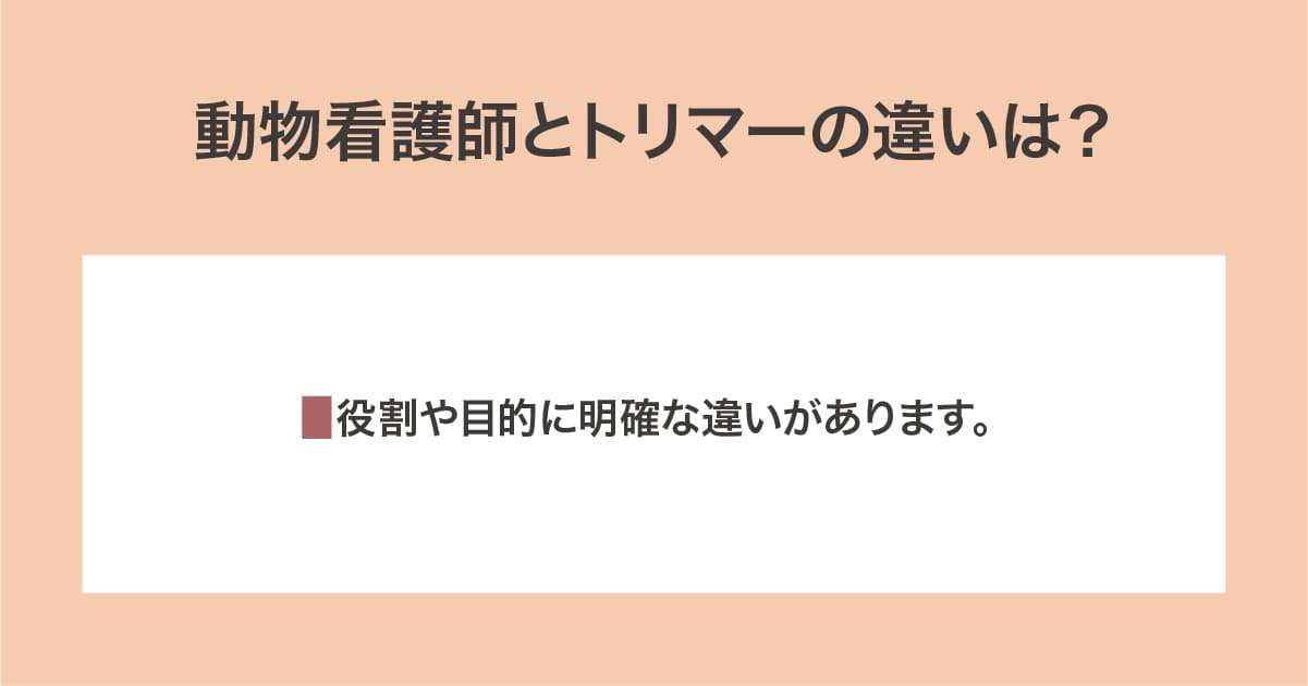 動物看護師とトリマーの違い