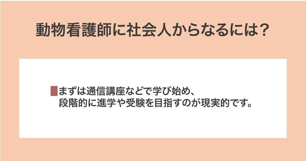 社会人からなる