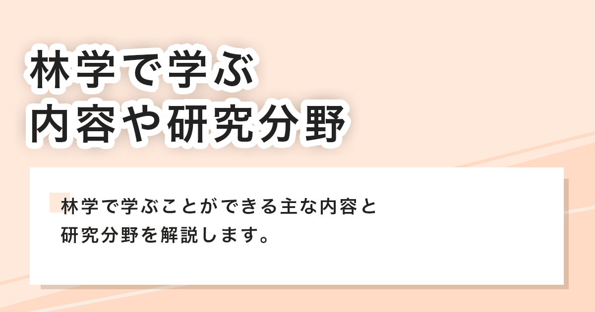 研究分野