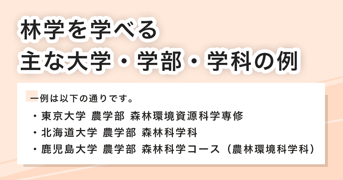 主な大学・学部・学科の例