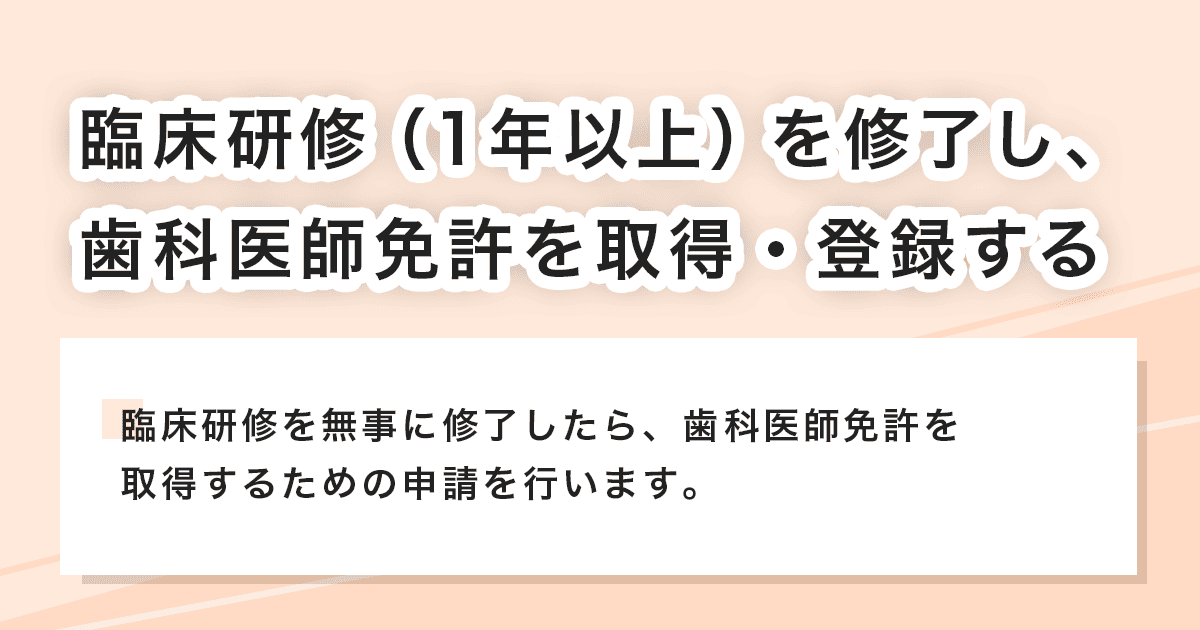 歯科医師免許を取得・登録する