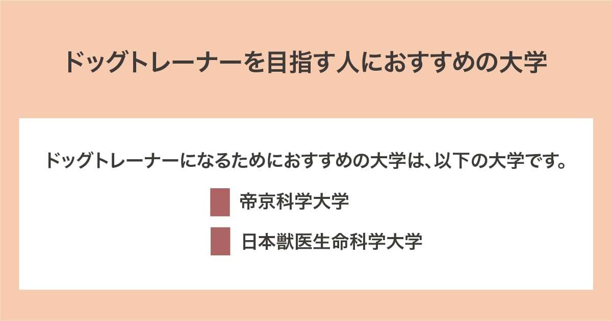 おすすめの大学