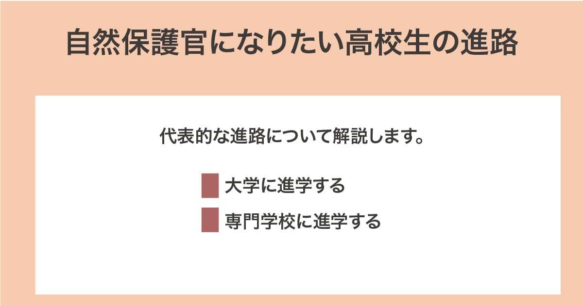高校生の進路