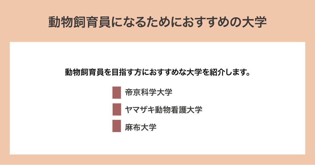 おすすめの大学
