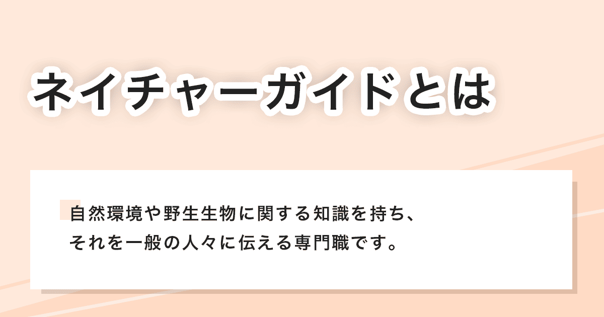 ネイチャーガイド