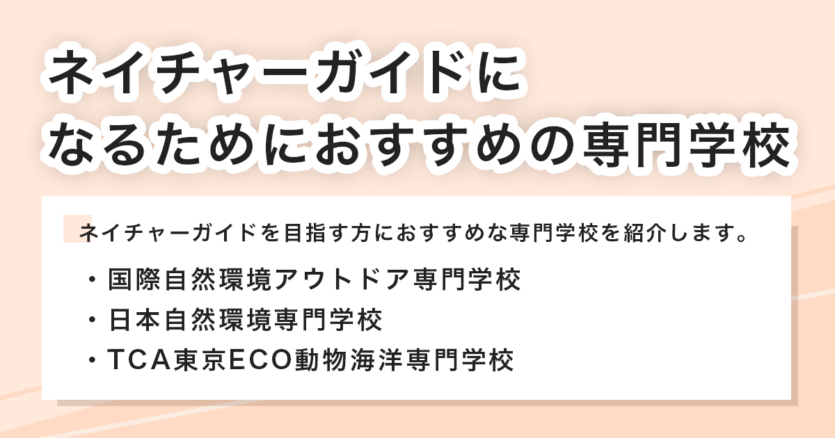 おすすめの専門学校