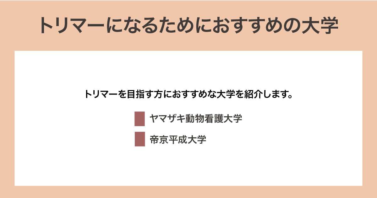 おすすめの大学