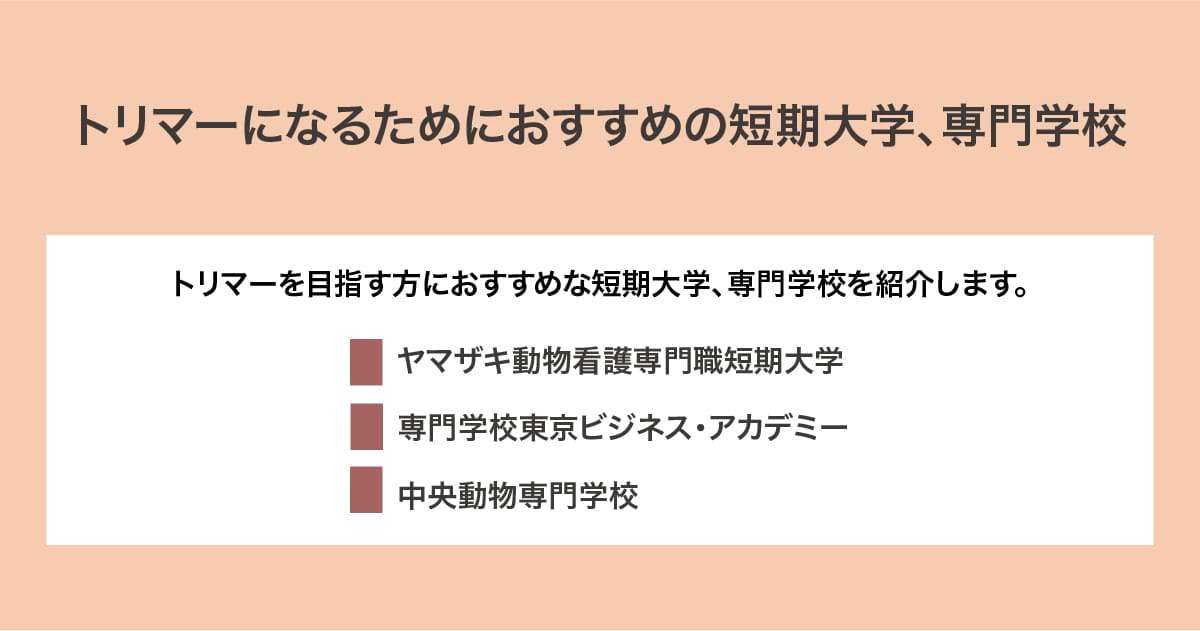 おすすめの短期大学、専門学校