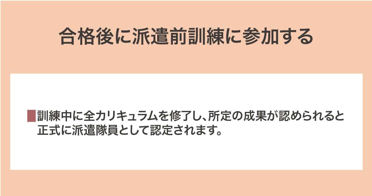 報告会、キャリア支援