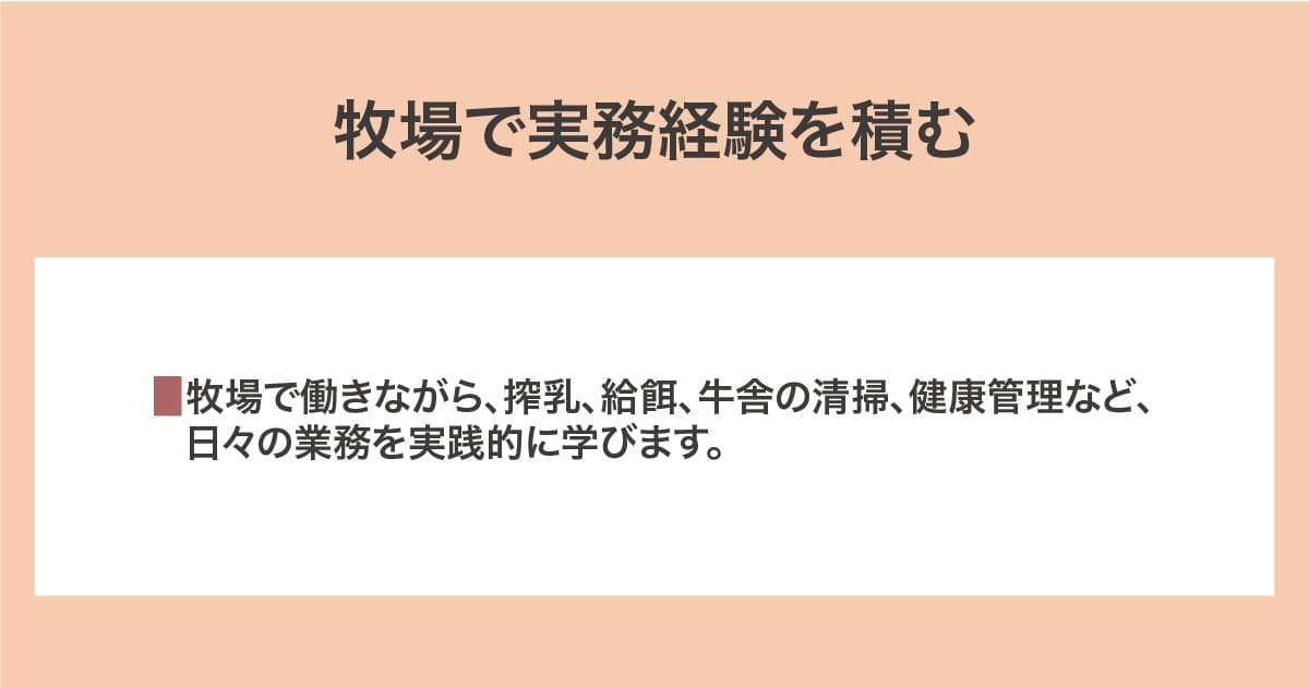 実務経験を積む