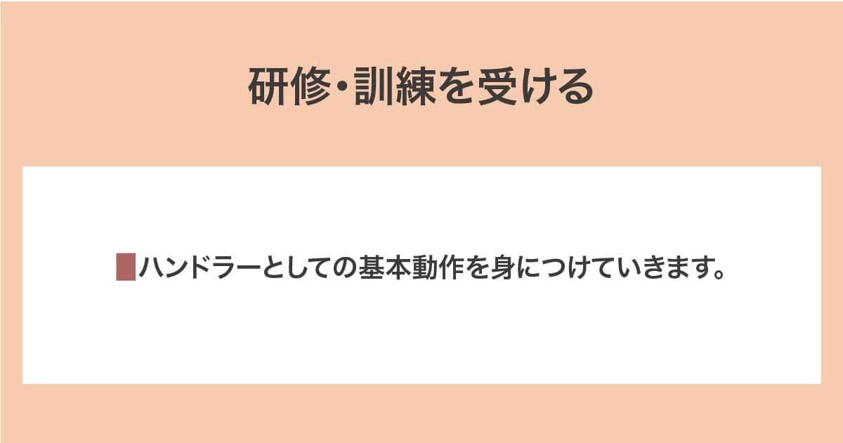 研修・訓練を受ける