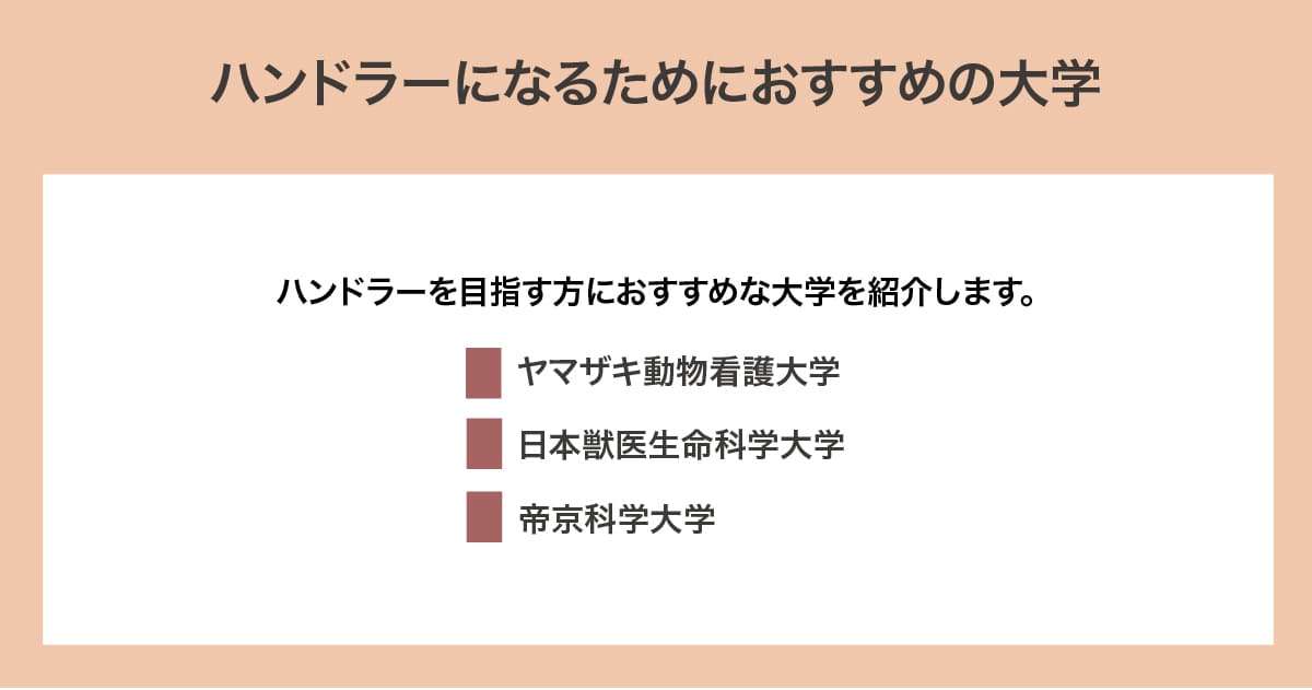 おすすめの大学