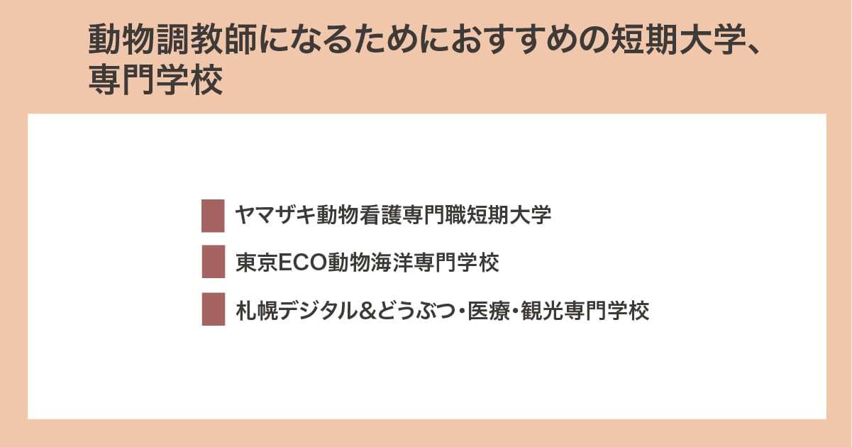 おすすめの短期大学や専門学校